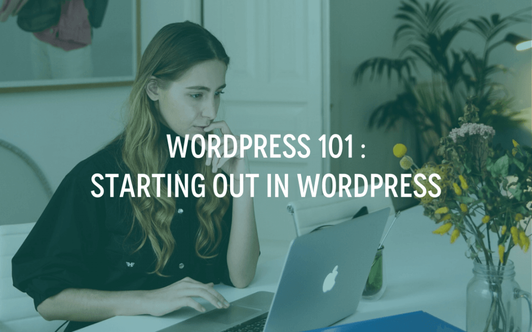 WordPress 101 : Starting Out in WordPress