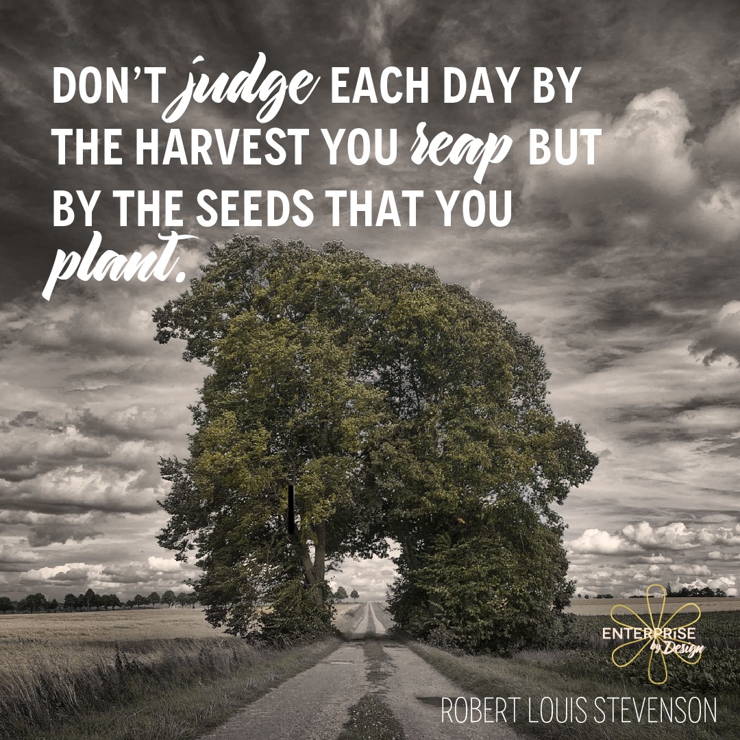 "Don't judge each day by the harvest you reap but by the seeds that you plant." ~ Robert Louis Stevenson
