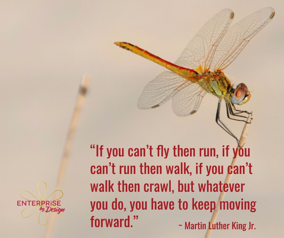 "If you can't fly then run, if you can't run then walk, if you can't walk then crawl, but whatever you do, you have to keep moving forward." ~ Martin Luther King Jr.