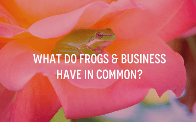 What Do Frogs & Business Have In Common?