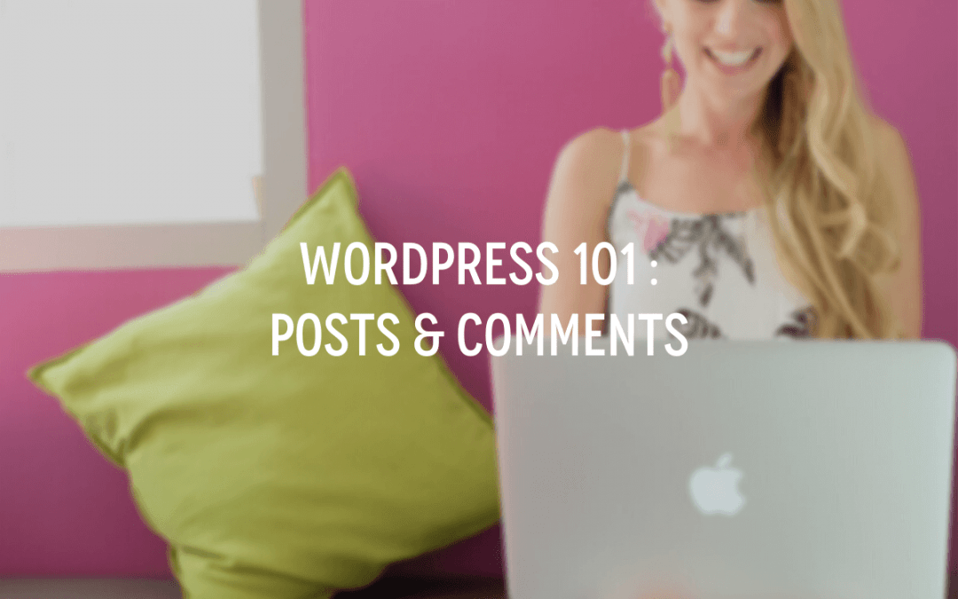 WordPress 101 : Posts & Comments