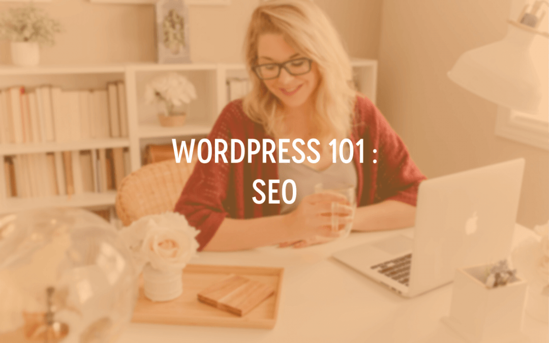 WordPress 101 : SEO