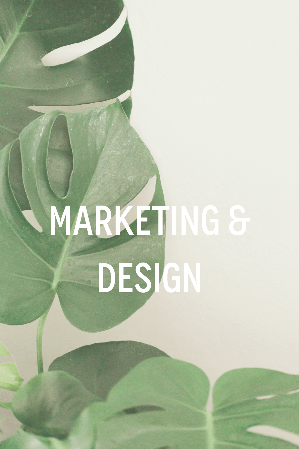 Marketing & design